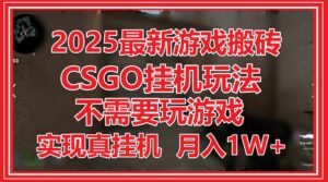 2025最新游戏搬砖，CSGO挂机，不需要玩游戏，实现真挂机，月入1W+-离锋创库
