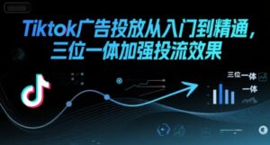 Tiktok广告投放从入门到精通,三位一体加强投流效果-离锋创库
