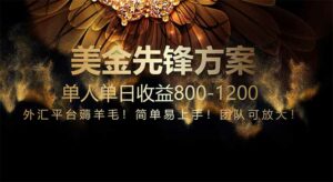 免费技术！小众赛道！一年布局抵三年努力，每日800+-离锋创库