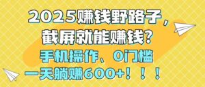 2025赚钱野路子，截屏就能赚钱？手机操作0门槛，一天躺赚600+！！！-离锋创库