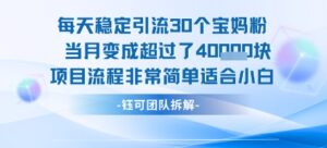 每天稳定引流30个人 当月变成超过了4个W项目流程非常简单适合小白-离锋创库