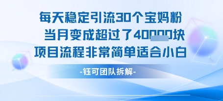 每天稳定引流30个人 当月变成超过了4个W项目流程非常简单适合小白-离锋创库