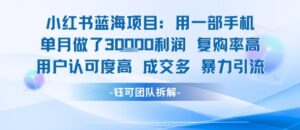 小红书蓝海项目，一部手机单月做了3W利润，小白也能月入过1W用户认可度高成交多-离锋创库