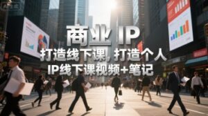 商业IP打造线下课，打造个人 IP线下课视频+笔记-离锋创库