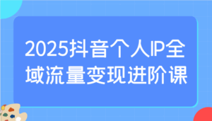 2025抖音个人IP全域流量变现进阶课:选爆品、抖音付费投流、千川投流实操及优化等-离锋创库