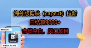 海外版剪映(capcut)拉新，日结算1k+，市场空白，风口项目-离锋创库
