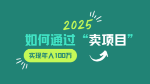2025年如何通过“卖项目”实现年入100w-离锋创库