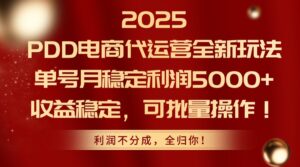 2025PDD电商代运营全新玩法,单号月稳定利润5000+,收益稳定,可批量操作-离锋创库