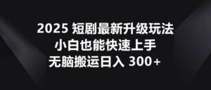 2025短剧最新升级玩法，小白也能快速上手，无脑搬运日入300+-离锋创库