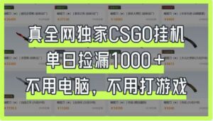 真全网独家CSGO挂机，单日捡漏1000+，不用电脑，不用养号-离锋创库