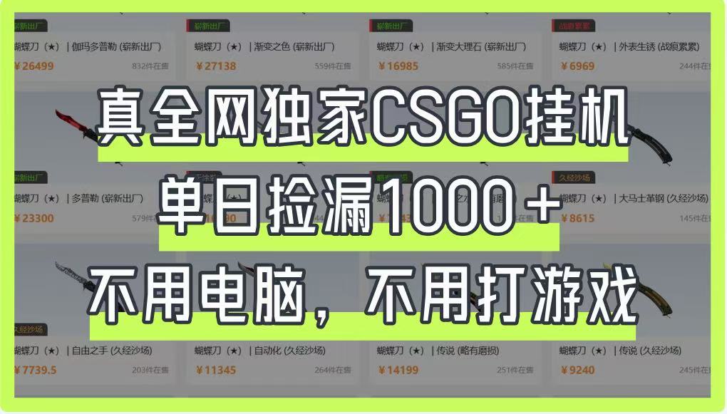 真全网独家CSGO挂机,单日捡漏1000+,不用电脑,不用养号-离锋创库