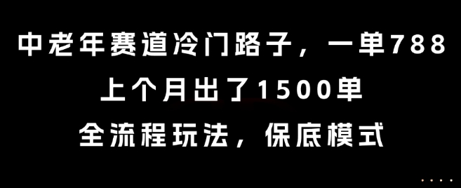 中老年赛道冷门路子，一单788，上个月出了1500单，全流程玩法，保底模式【揭秘】-离锋创库