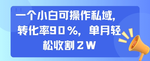 一个小白可操作私域，转化率90%，单月轻松收割2W-离锋创库