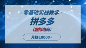 拼多多虚拟电商，零基础实战教学，快速打爆商品，新手也能月入10000+-离锋创库