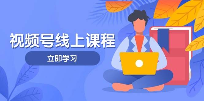 视频号实战课程，轻IP打造与运营技巧，掌握核心方法与策略-离锋创库