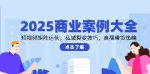 2025商业案例大全,短视频矩阵运营,私域裂变技巧,直播带货策略-离锋创库