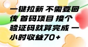 一键拉新 不需要回传 首码项目 接个验证码就算完成 一小时收益70+【揭秘】-离锋创库
