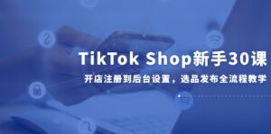 TikTok Shop新手30课,开店注册到后台设置,选品发布全流程教学-离锋创库