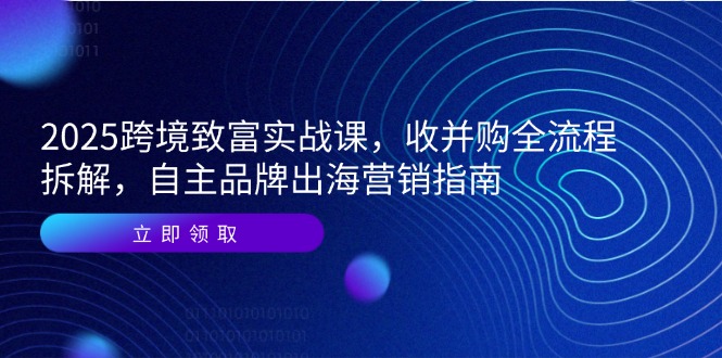 2025跨境致富实战课，收并购全流程拆解，自主品牌出海营销指南-离锋创库