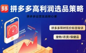 拼多多选品暴利技术实战课,拼多多高利润选品策略,拼多多限时低价标签秘诀-离锋创库
