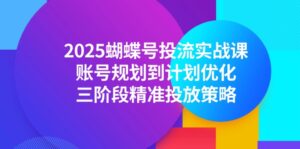 2025蝴蝶号投流实战课，账号规划到计划优化，三阶段精准投放策略-离锋创库
