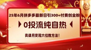 25年6月拼多多最新日引300+付费创业粉,0投流纯自热 卖课月变现六位数方法-离锋创库