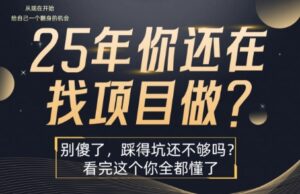25年,你还在疯狂的找项目吗?别傻了,看完这个你都懂了【揭秘】-离锋创库