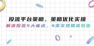 投流平台策略，策略优化实操，解决投流5大痛点，4步实现精准引流-离锋创库