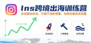 Ins跨境出海训练营，实战驱动玩法，打破不涨粉怪象，玩转社媒自然流量-离锋创库