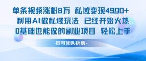 单条视频私域变现4.9k+利用AI做私域玩法 已经开始火热0基础也能做的副业项目轻松上手-离锋创库