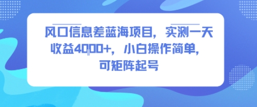 风口信息差蓝海项目，实测一天收益4k+，小白操作简单，可矩阵起号-离锋创库