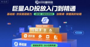 巨量AD投放入门到精通，基础版+进阶版+加餐课-离锋创库