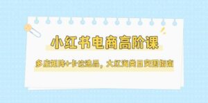 小红书电商高阶课,多店矩阵+卡位选品,大红海类目突围指南(更新5月)-离锋创库