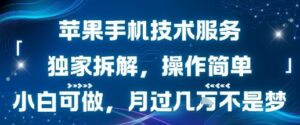 苹果手机技术服务，独家拆解，操作简单，小白可做，月过1W不是梦-离锋创库