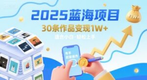 2025蓝海项目30条作品 变现1w+ 有手就能操作适合小白做-离锋创库