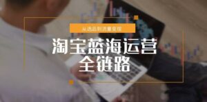 淘宝蓝海运营全链路,从选品到流量变现,小类目突围完整方案-离锋创库