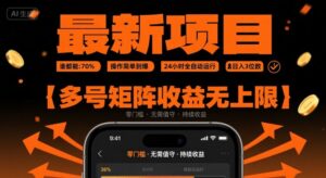 最新挂G项目：谁都能做，操作简单到爆，24 小时全自动运行，日入3位数，多号矩阵收益无上限【揭秘】-离锋创库