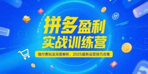 拼多多盈利实战训练营,强付费玩法深度解析,2025运营技巧合集-更新6月-离锋创库