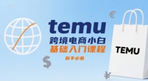 temu跨境电商小白基础入门课程，新手必看-离锋创库