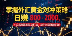 掌握外汇黄金对冲策略，日赚 800 – 2000，小众高回报创业机会，助你实…-离锋创库
