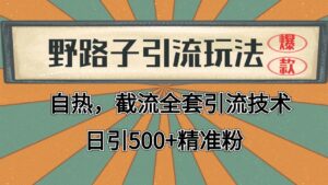 2024首发野路子引流玩法截流自热全平台打法，全自动引流【日引2000+精准客户】-离锋创库