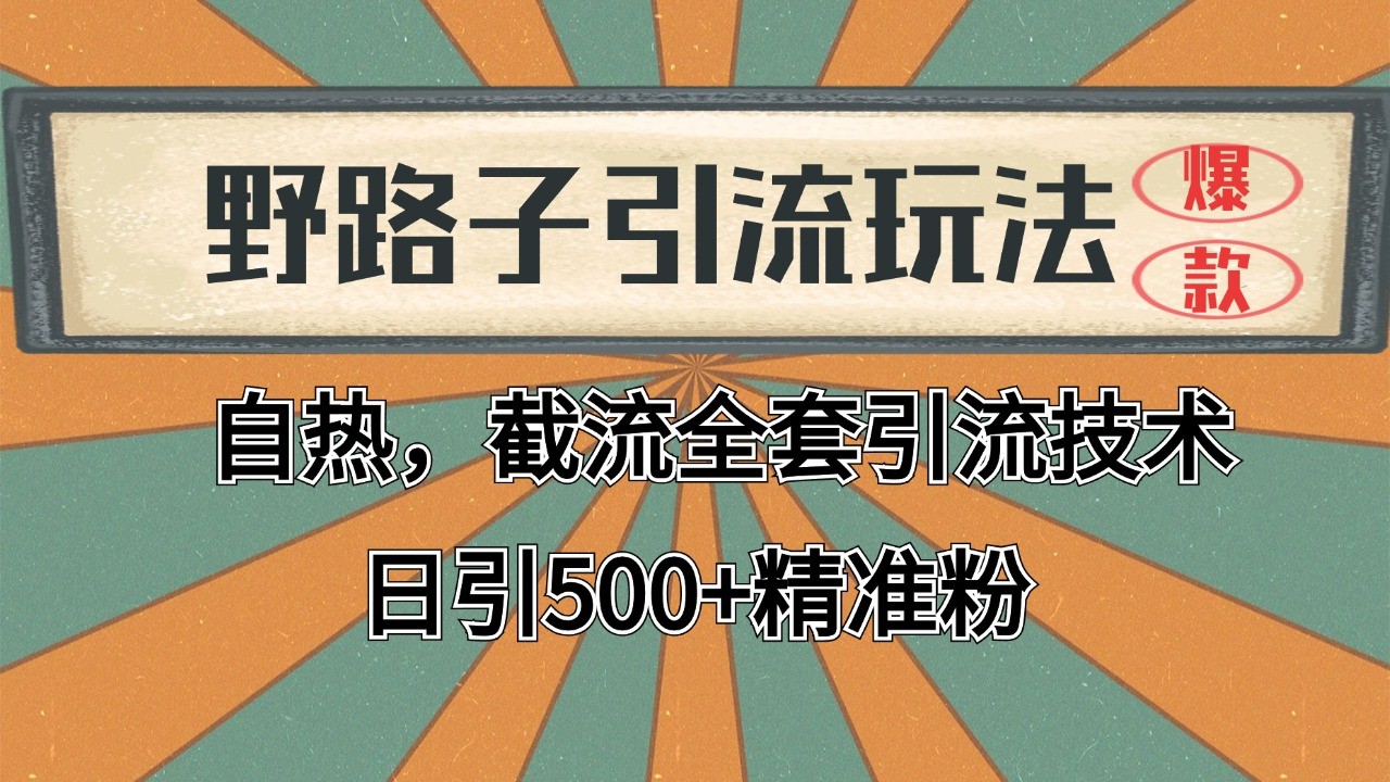 2024首发野路子引流玩法截流自热全平台打法，全自动引流【日引2000+精准客户】-离锋创库