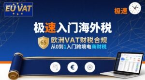 极速入门海外税,欧洲VAT财税合规,从0到1入门跨境电商财税-离锋创库