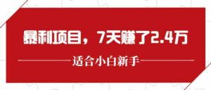 最新暴利项目，每单收益轻松在300以上，7天赚了2.4万-离锋创库