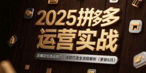 2025拼多多运营实战:店铺定位选品技巧,爆款打造全流程解析(更新6月-离锋创库