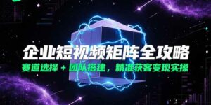 企业短视频矩阵全攻略,赛道选择+团队搭建,精准获客变现实操-离锋创库