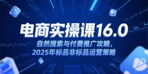 淘宝电商运营课16.0,自然搜索与付费推广攻略,2025年标品非标品运营策略-离锋创库