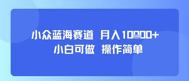 小众蓝海赛道，小白可做，操作简单，每天30分钟，月入1W+-离锋创库