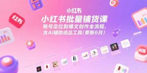 小红书批量铺货课,账号定位到爆文创作全流程,含AI辅助选品工具(更新6月-离锋创库
