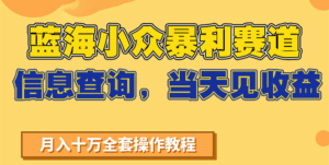 蓝海小众暴利赛道，信息查询，当天见收益，不讲玄学，7天搞了2万+-离锋创库